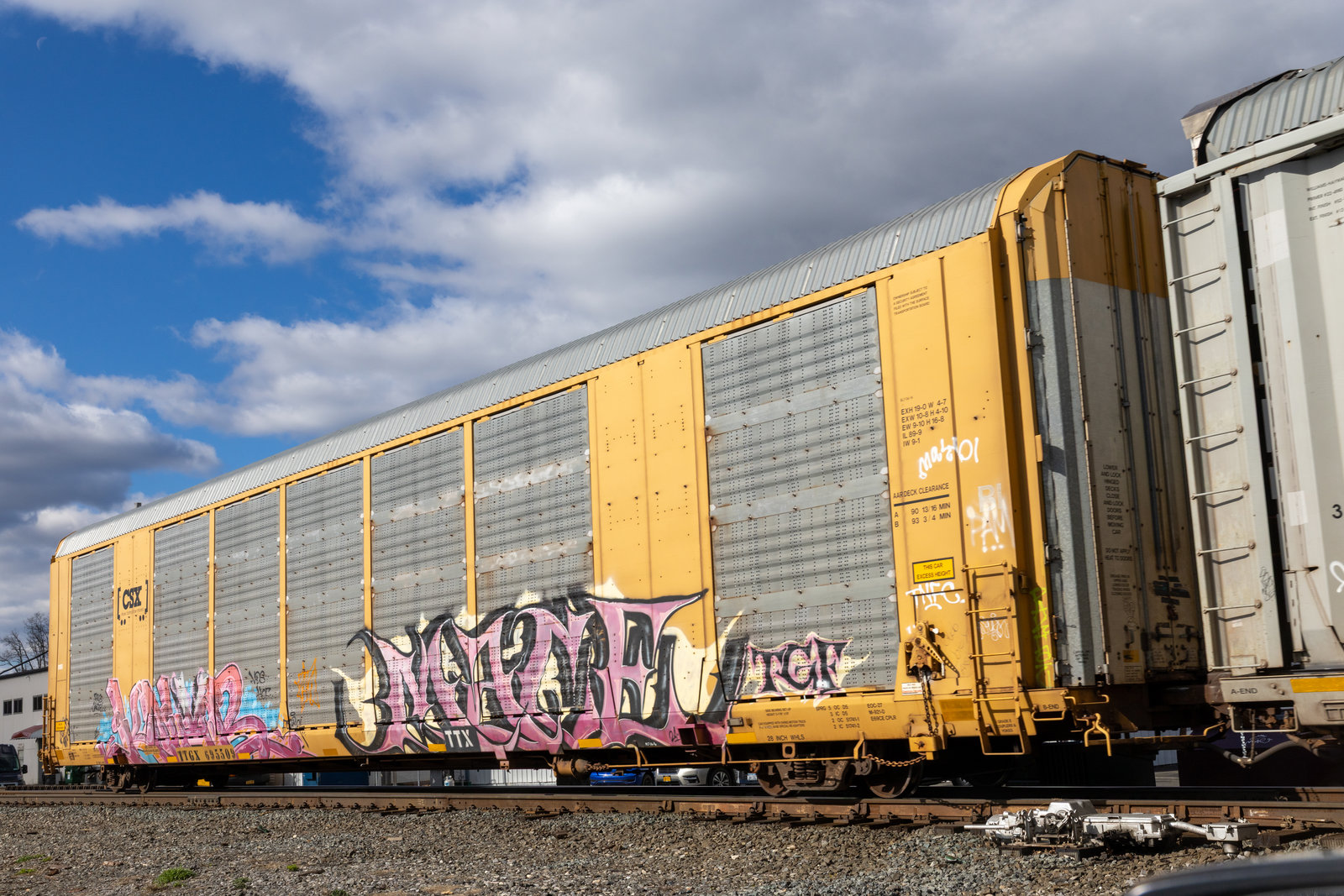 TTGX 695509