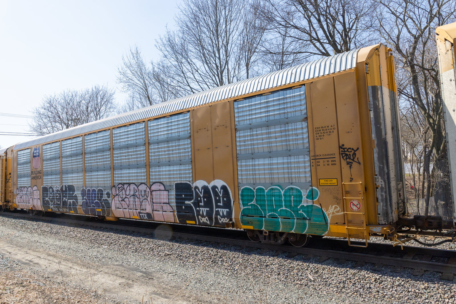 TTGX 697376