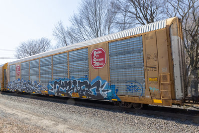 TTGX 691835