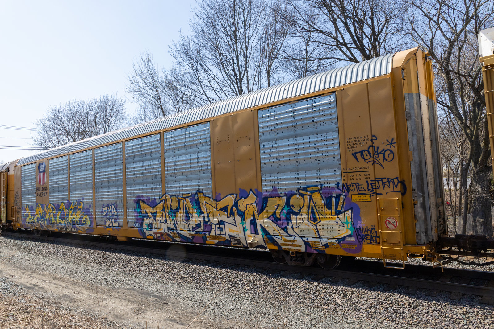 TTGX 697454