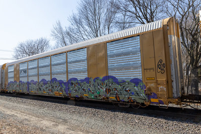 TTGX 823503