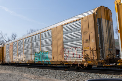 TTGX 696787