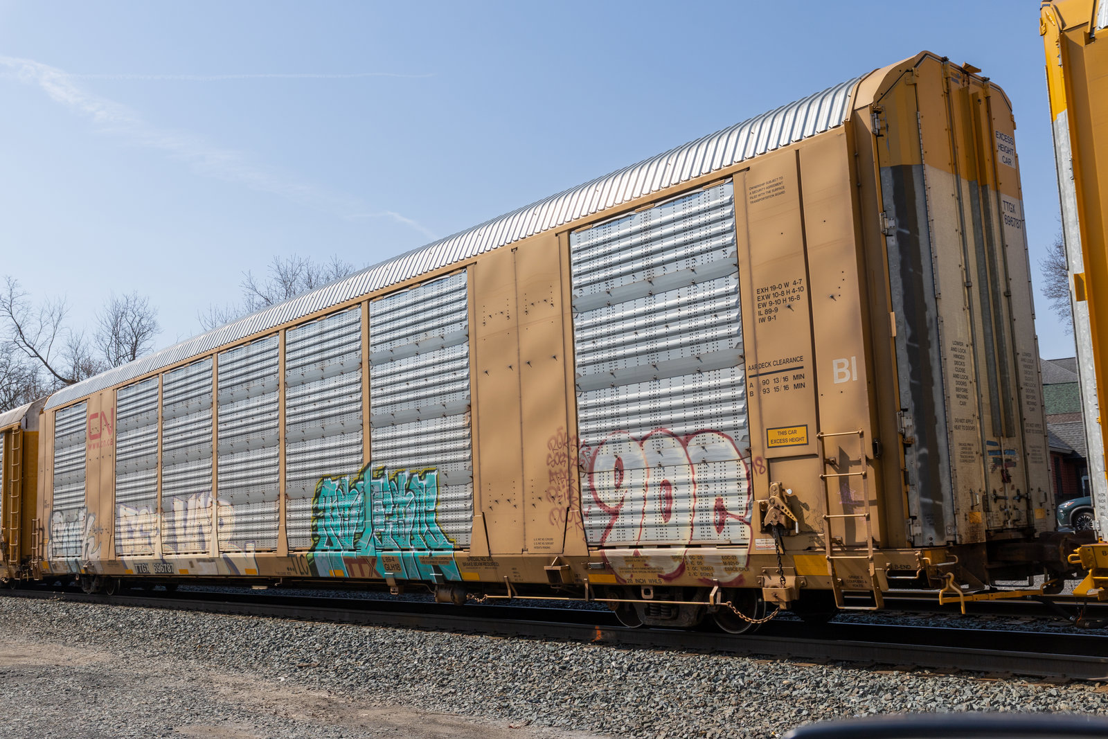 TTGX 696787