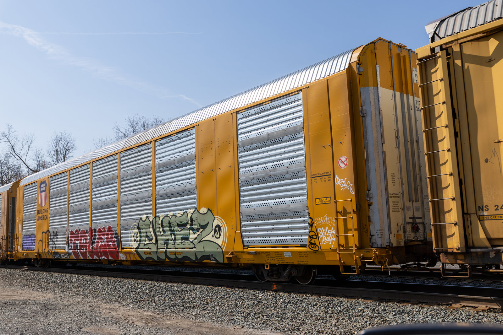TTGX 823443