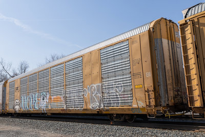 TTGX 695571