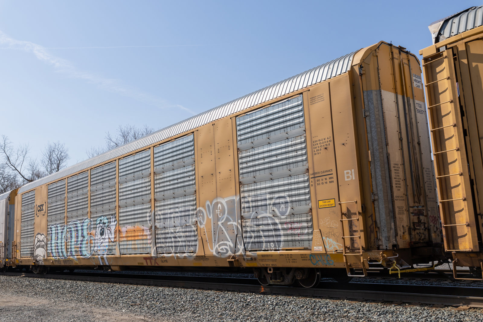 TTGX 695571