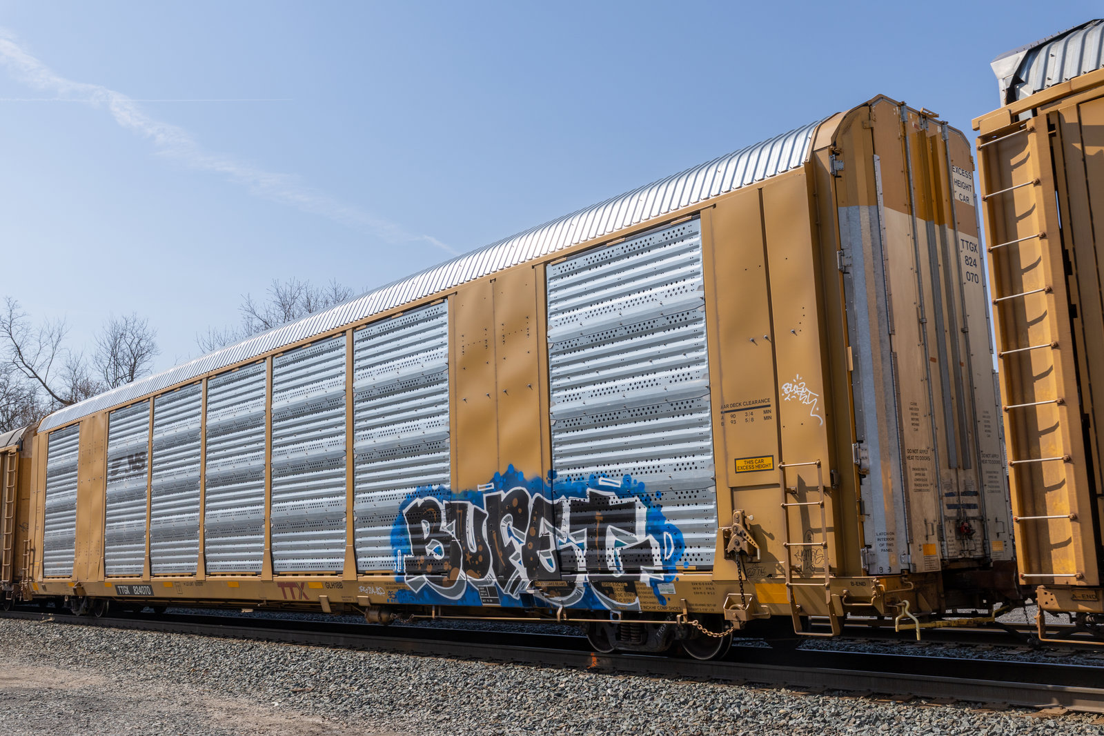TTGX 824070