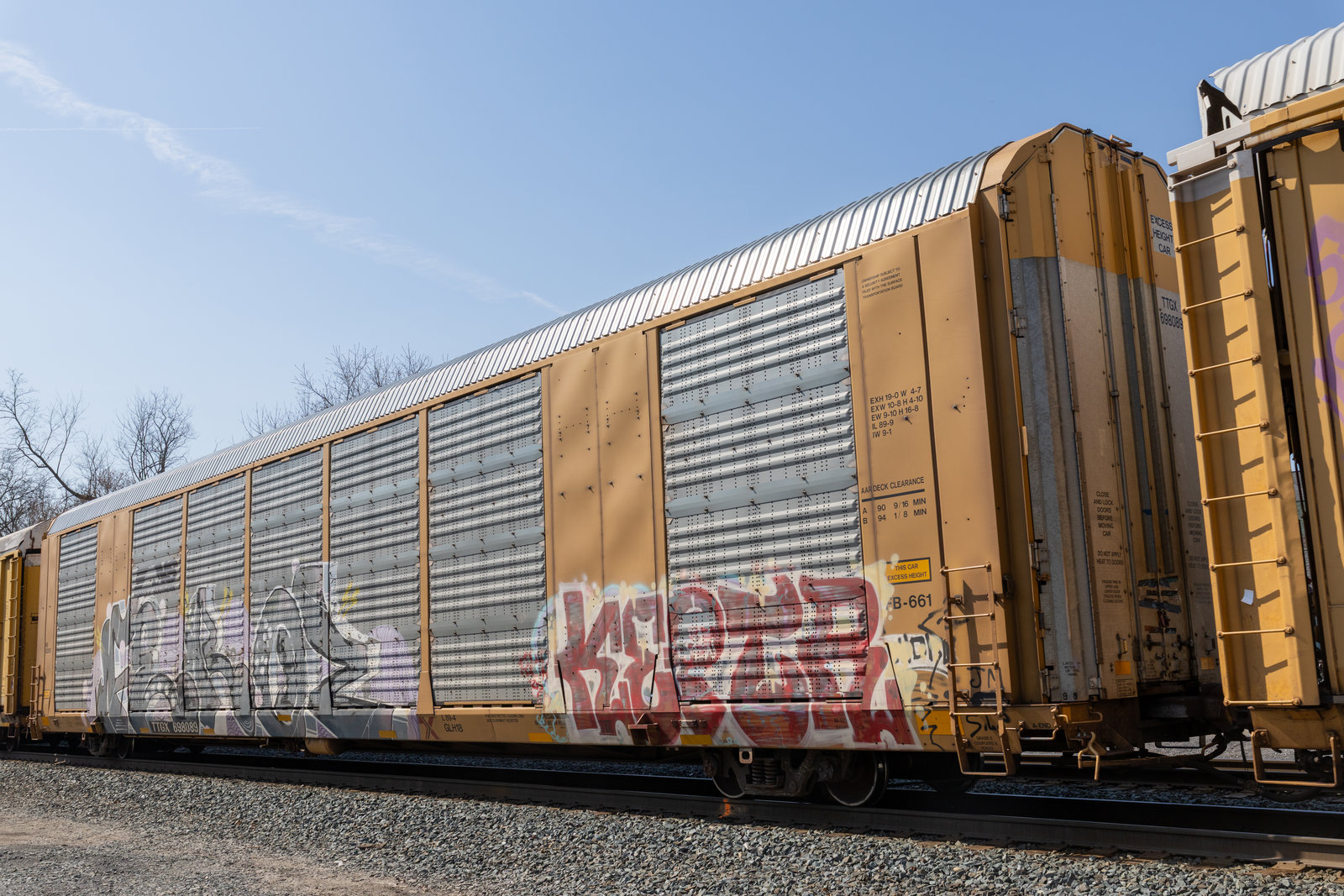 TTGX 698089