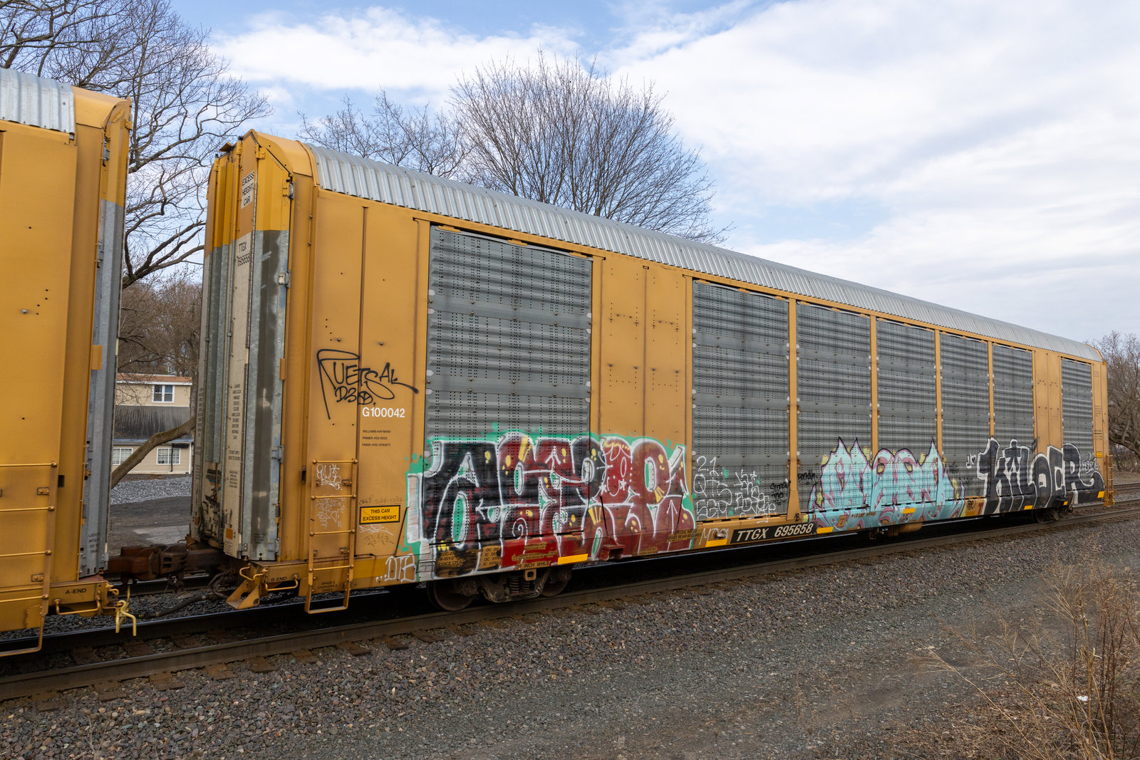TTGX 695658