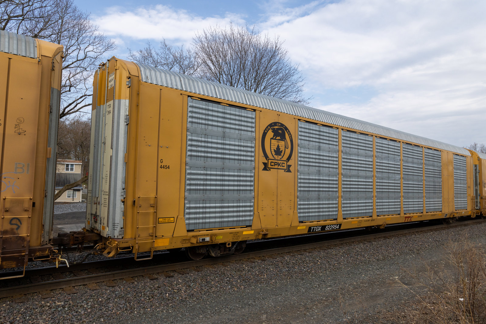 TTGX 822954