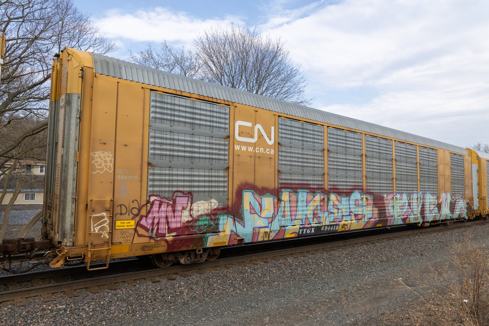 TTGX 694418