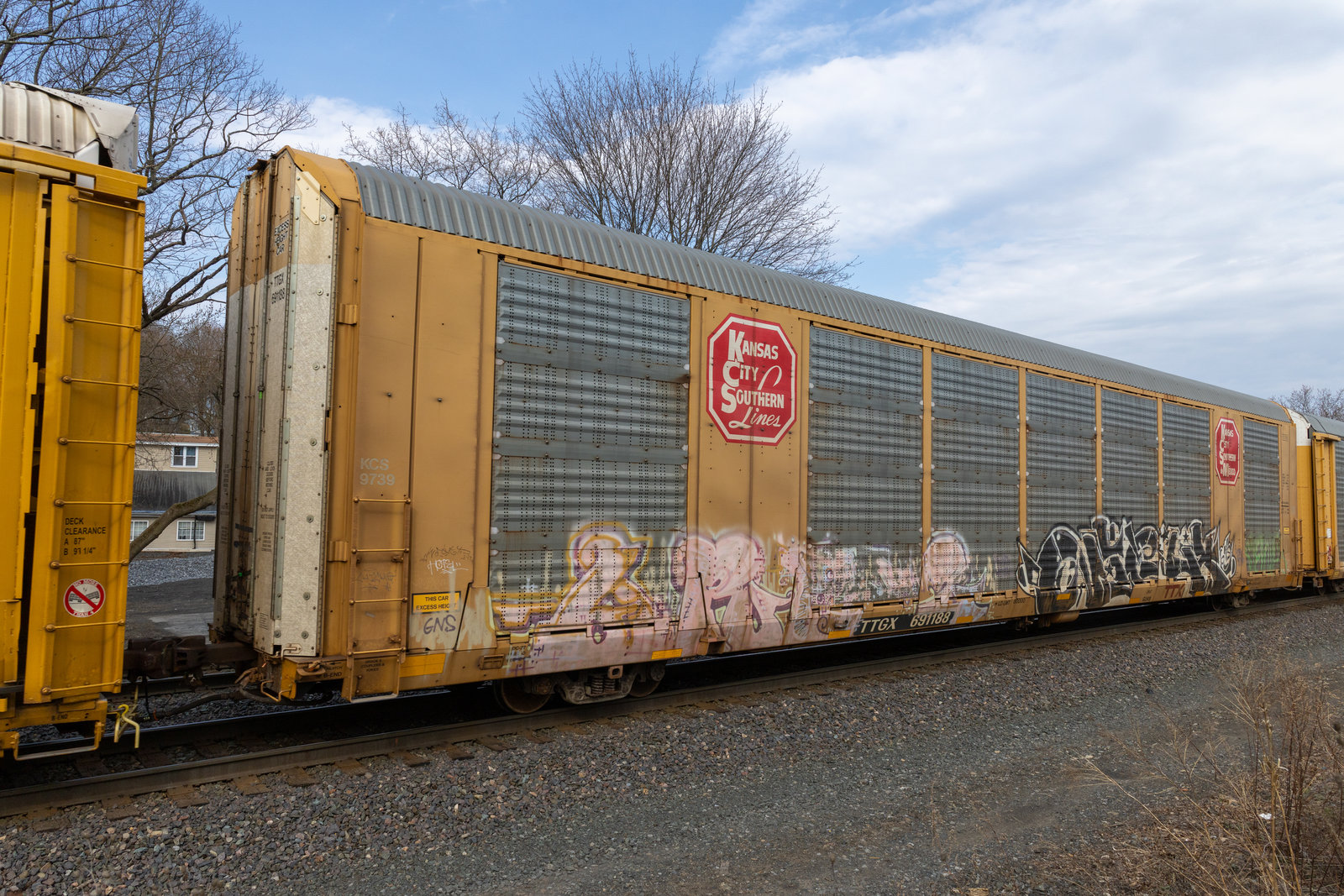 TTGX 691188