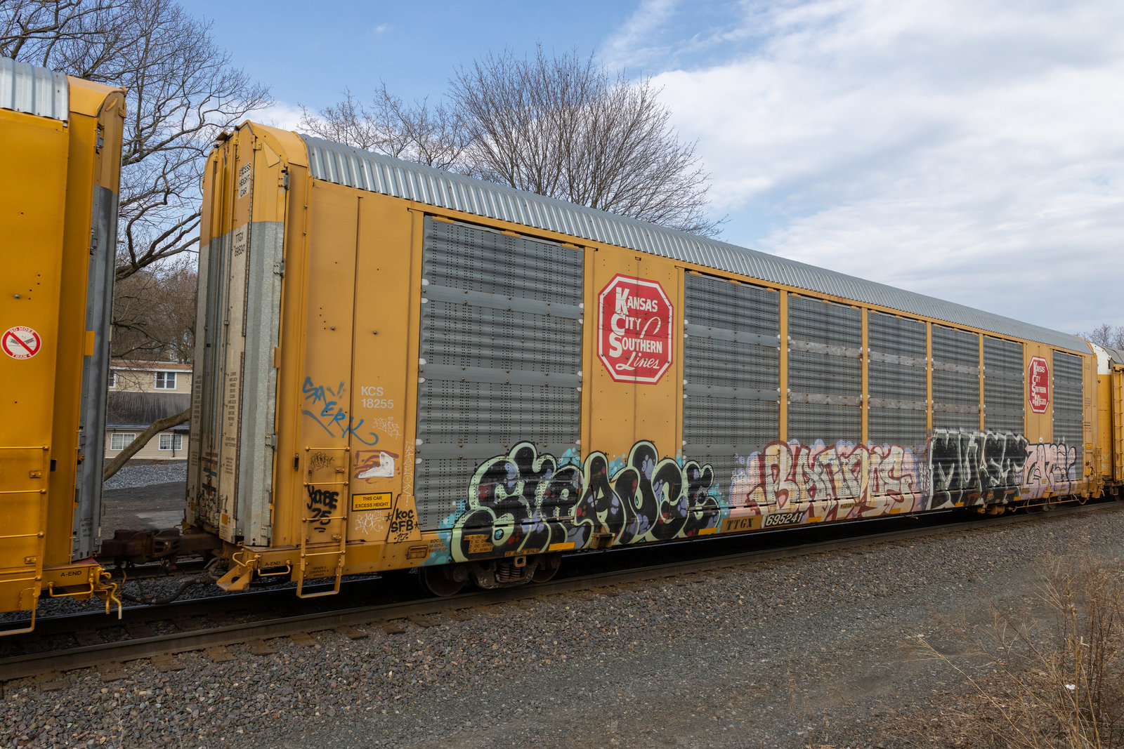 TTGX 695241
