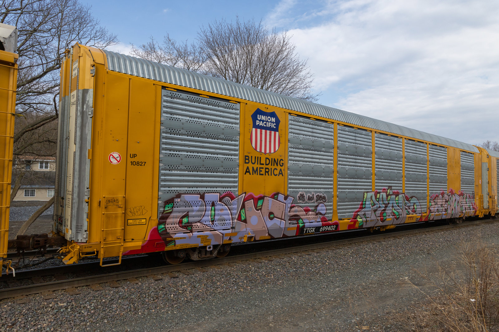 TTGX 699402