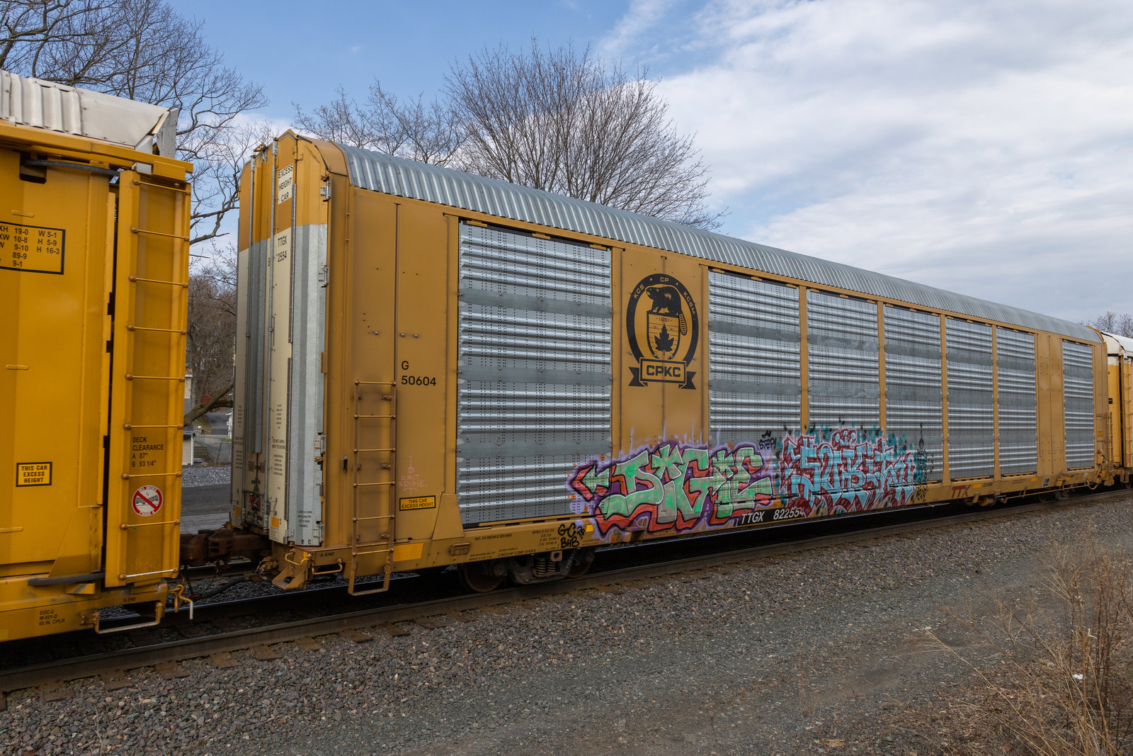 TTGX 822554