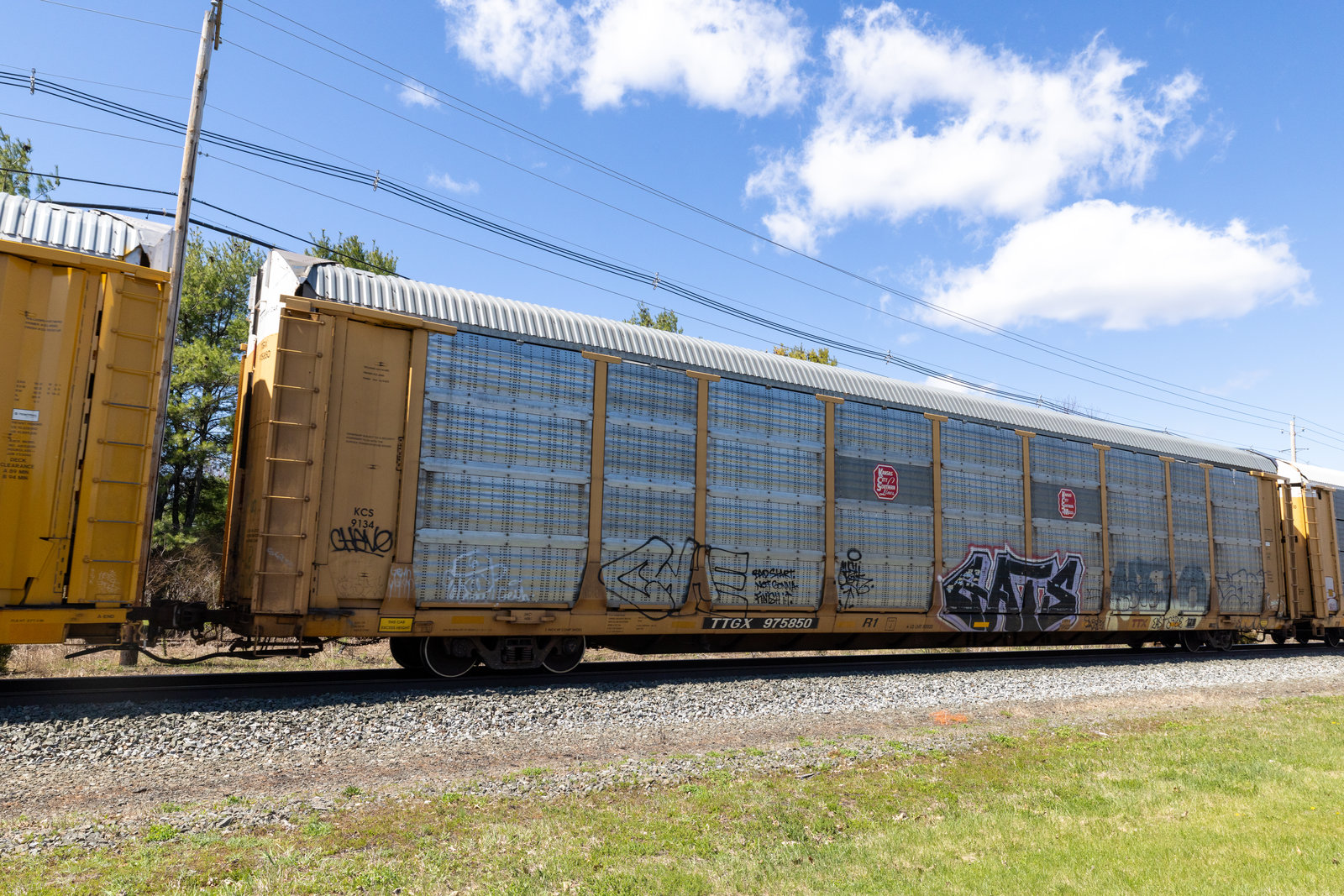 TTGX 975850