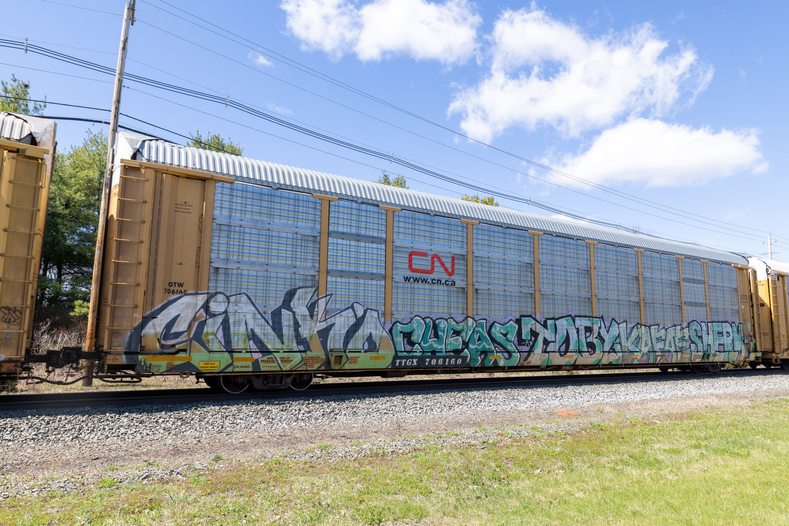 TTGX 706160