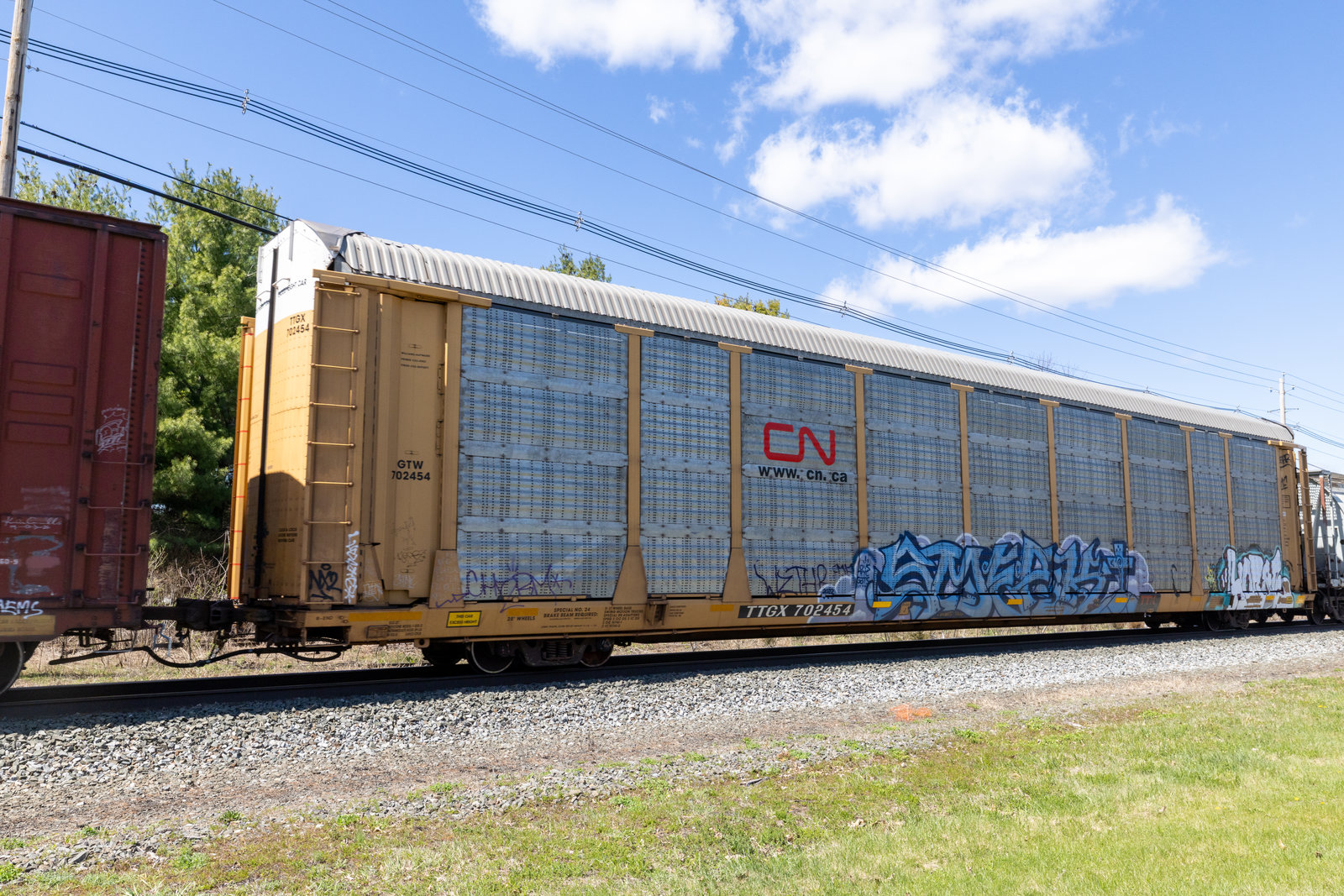 TTGX 702454