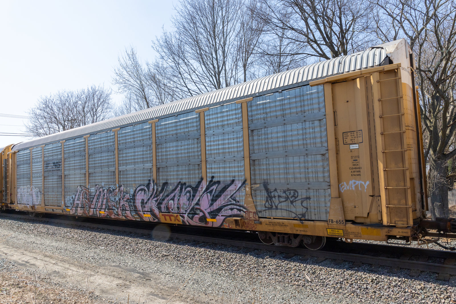 TTGX 704950