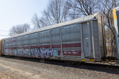 TTGX 705631
