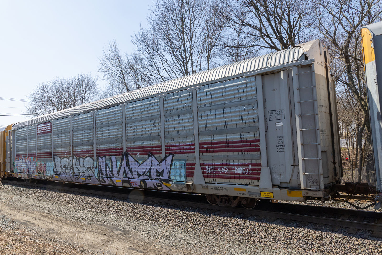 TTGX 705631