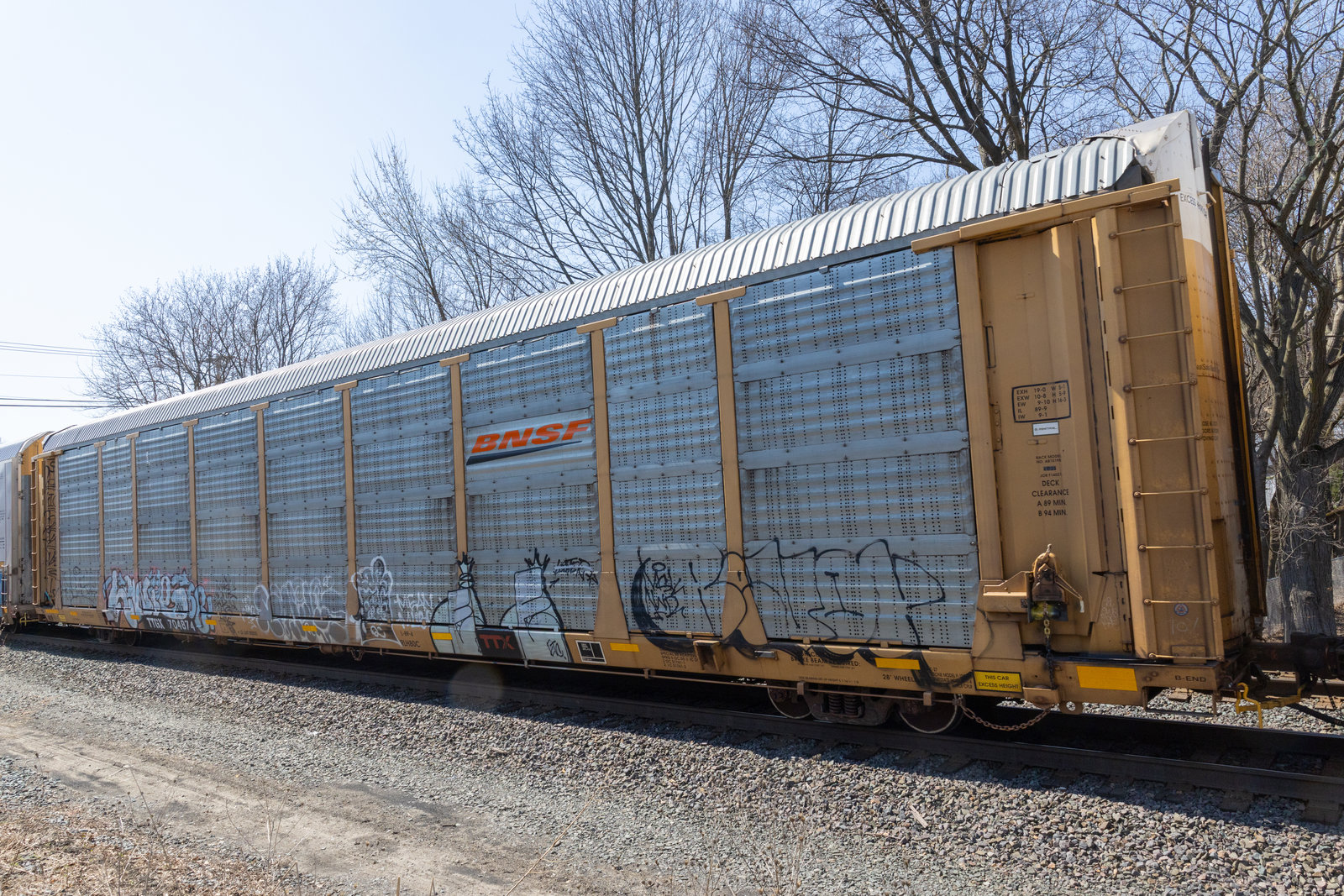 TTGX 704874