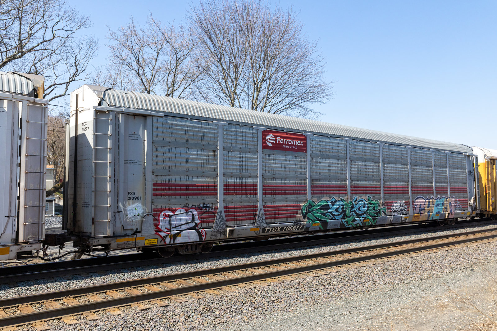 TTGX 706677