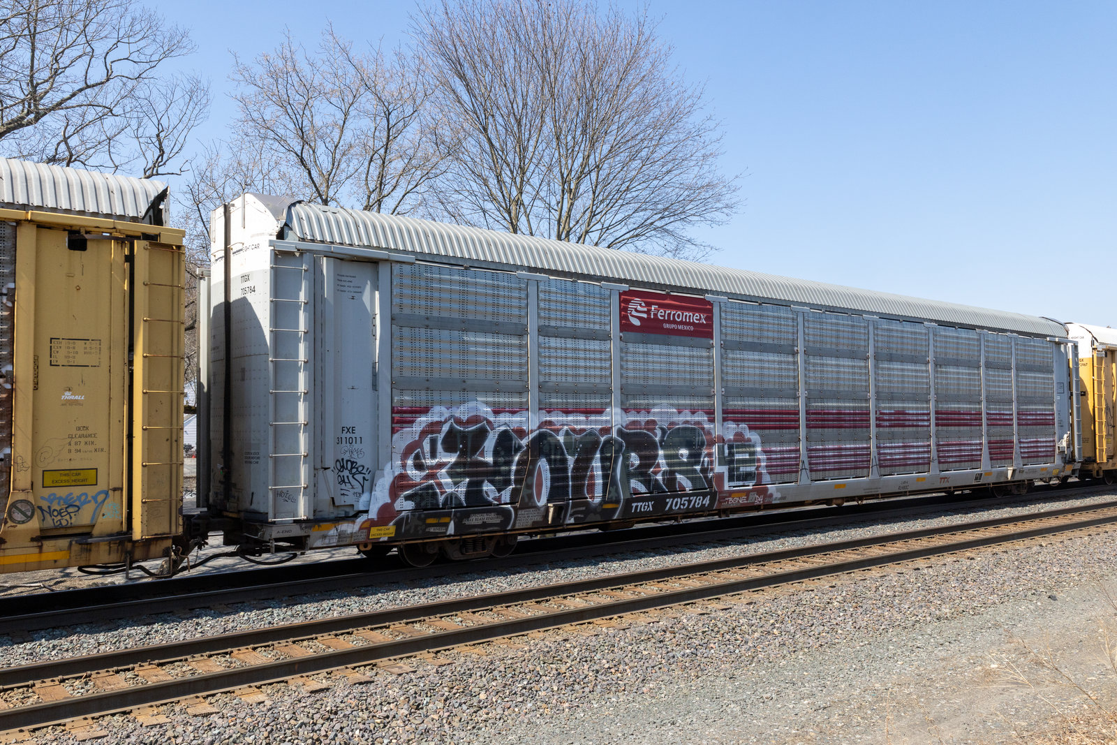 TTGX 705784