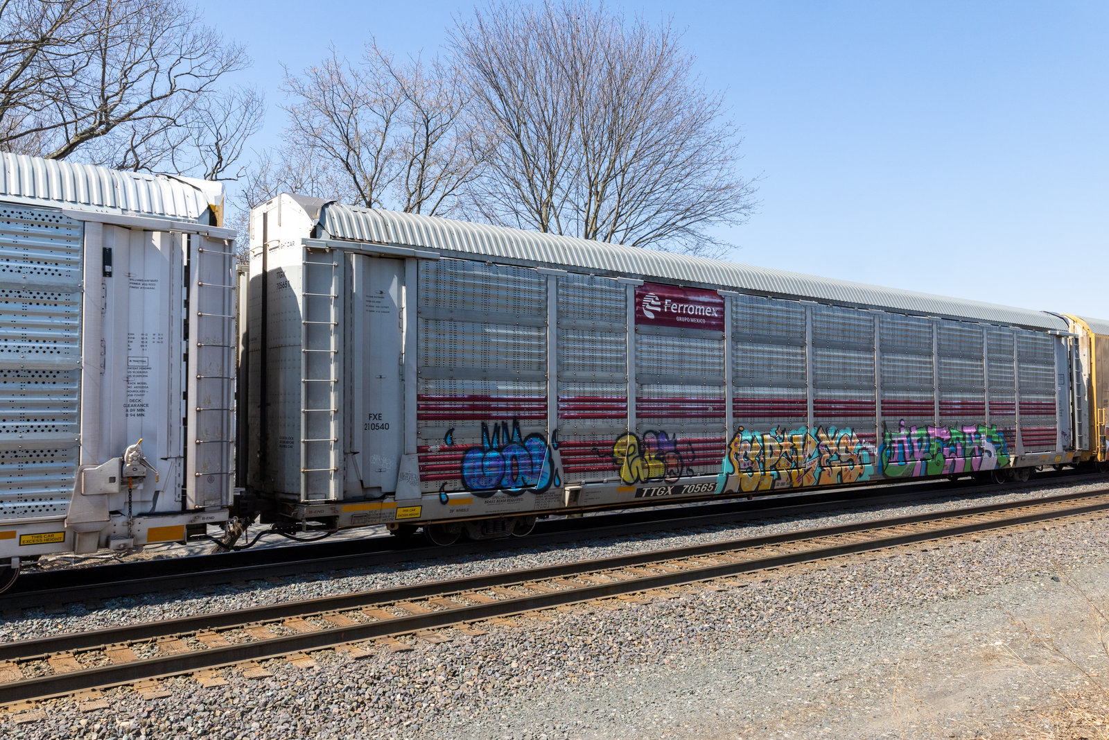 TTGX 705651
