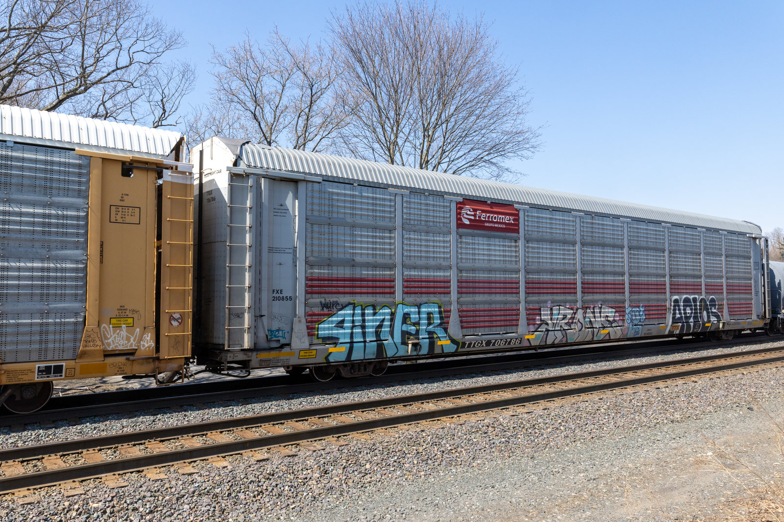 TTGX 706786