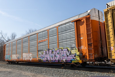 TTGX 952804