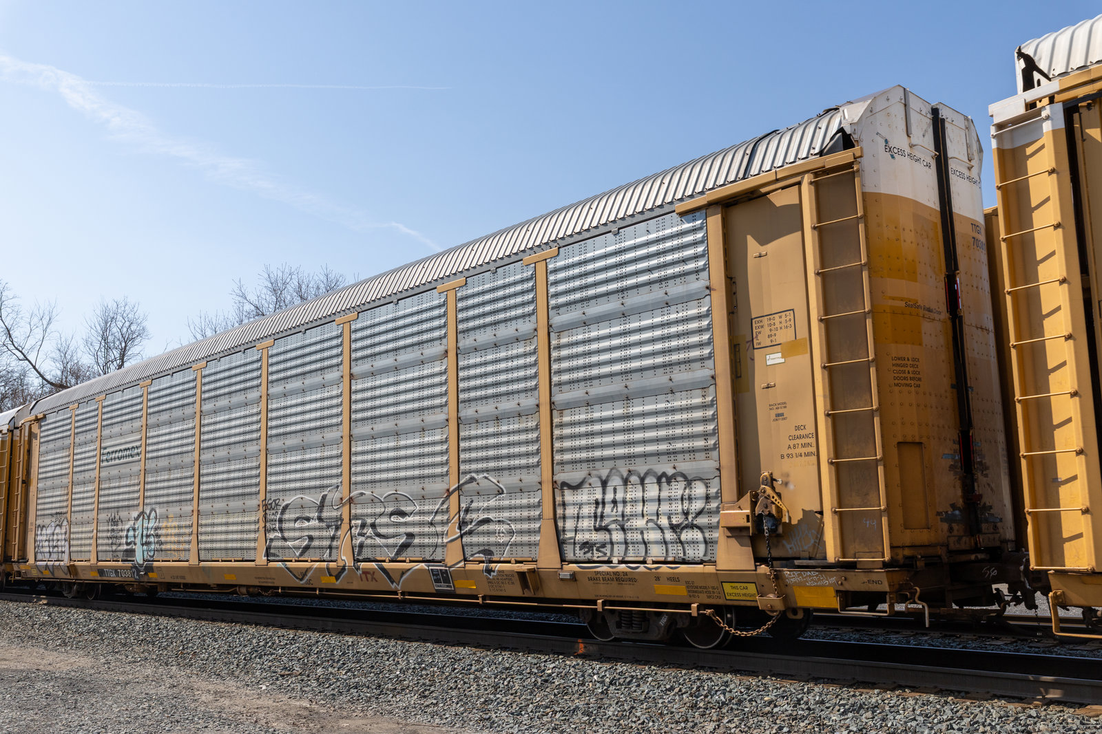 TTGX 703812
