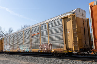TTGX 952643
