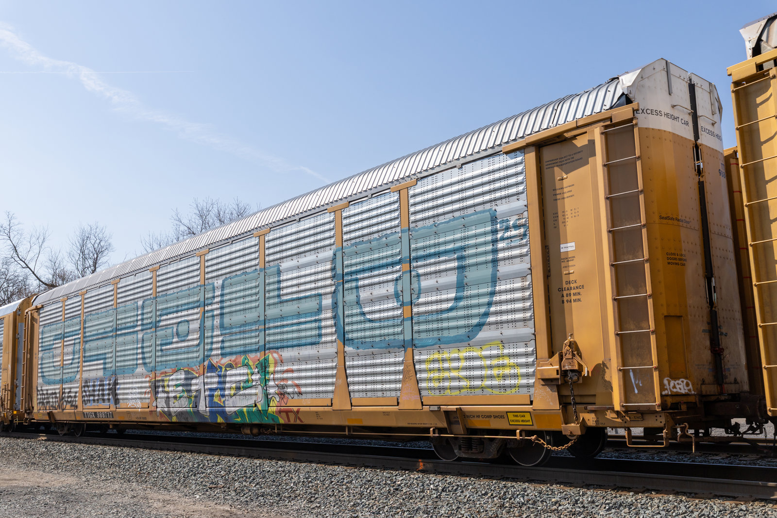 TTGX 988717