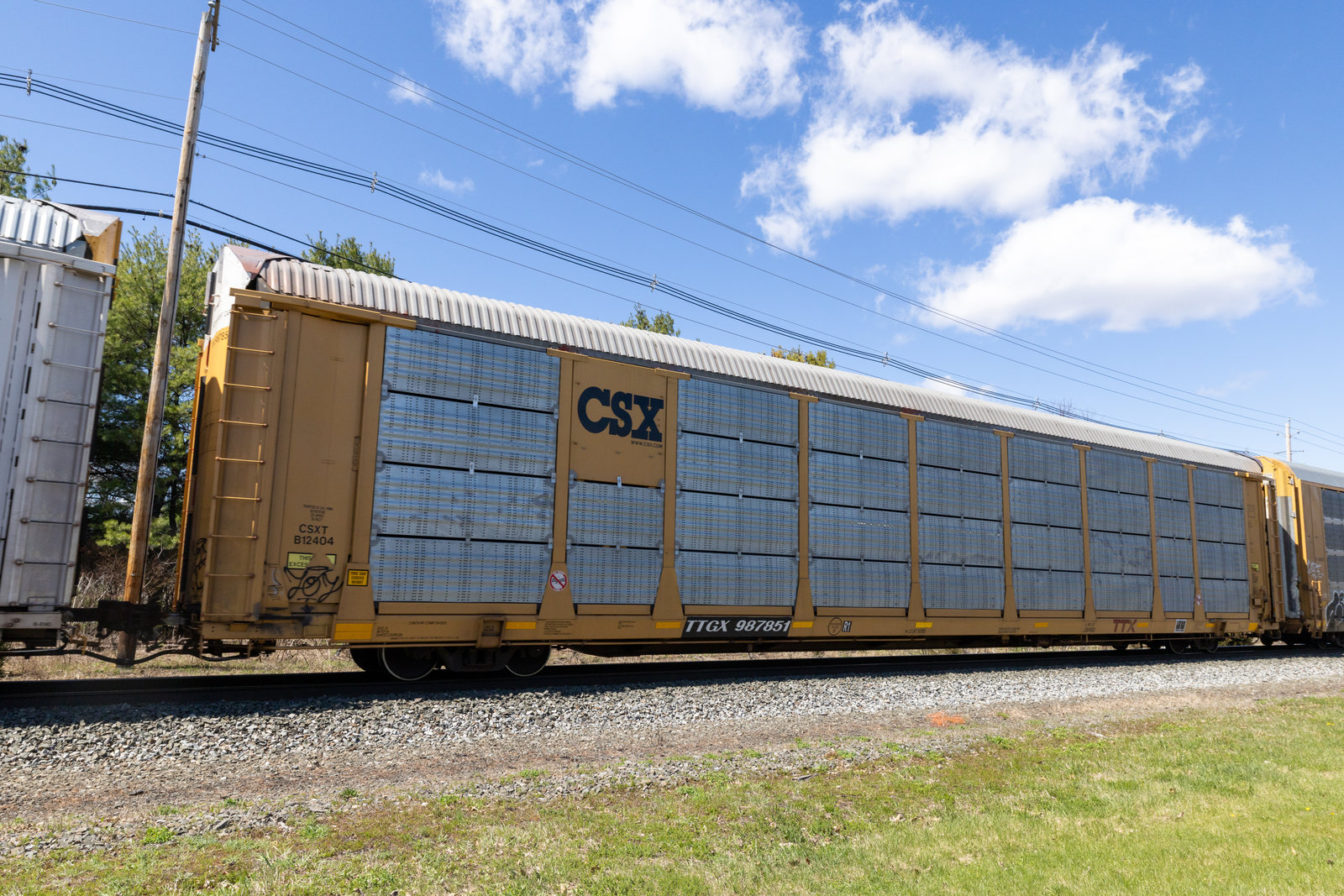 TTGX 987851