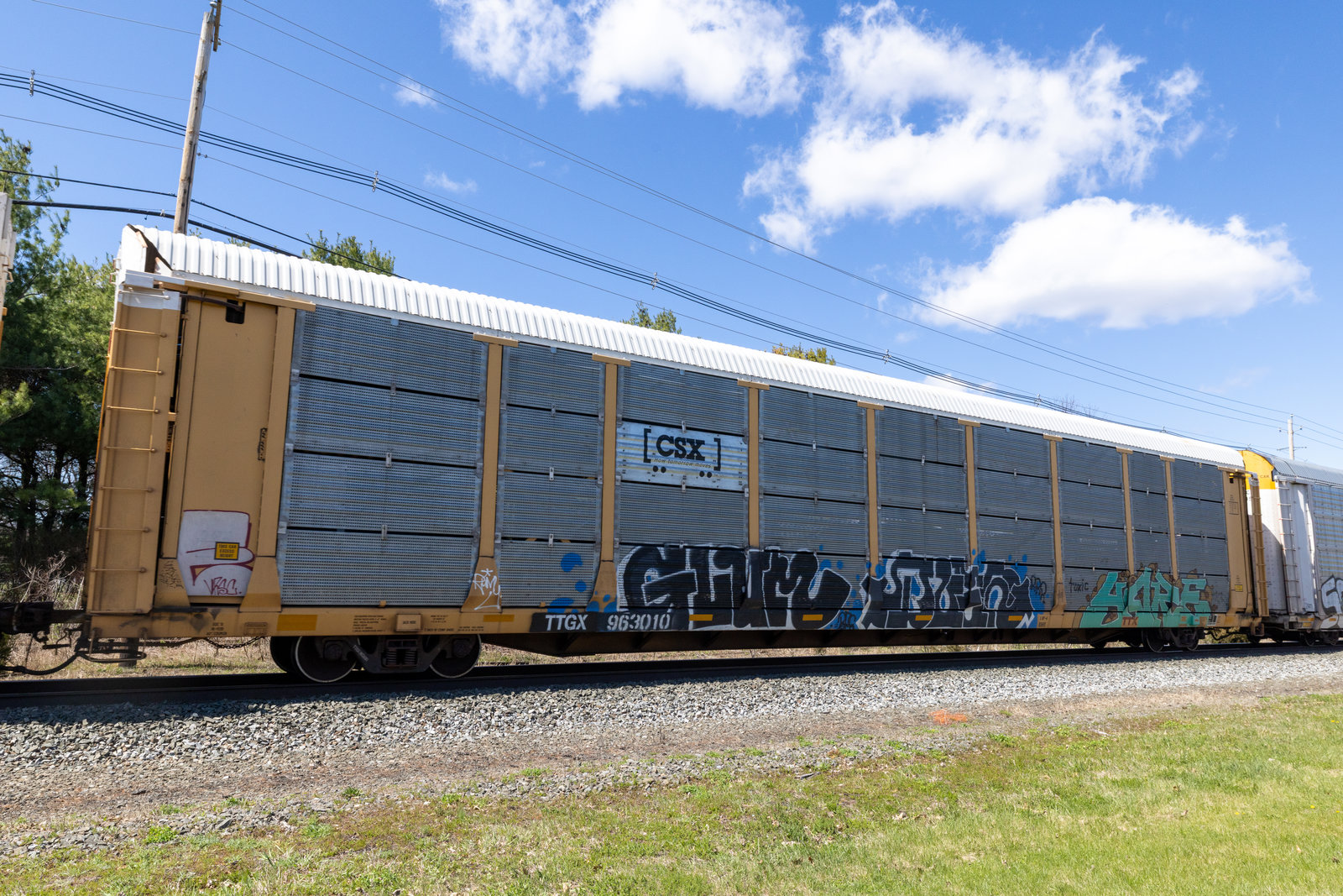 TTGX 963010