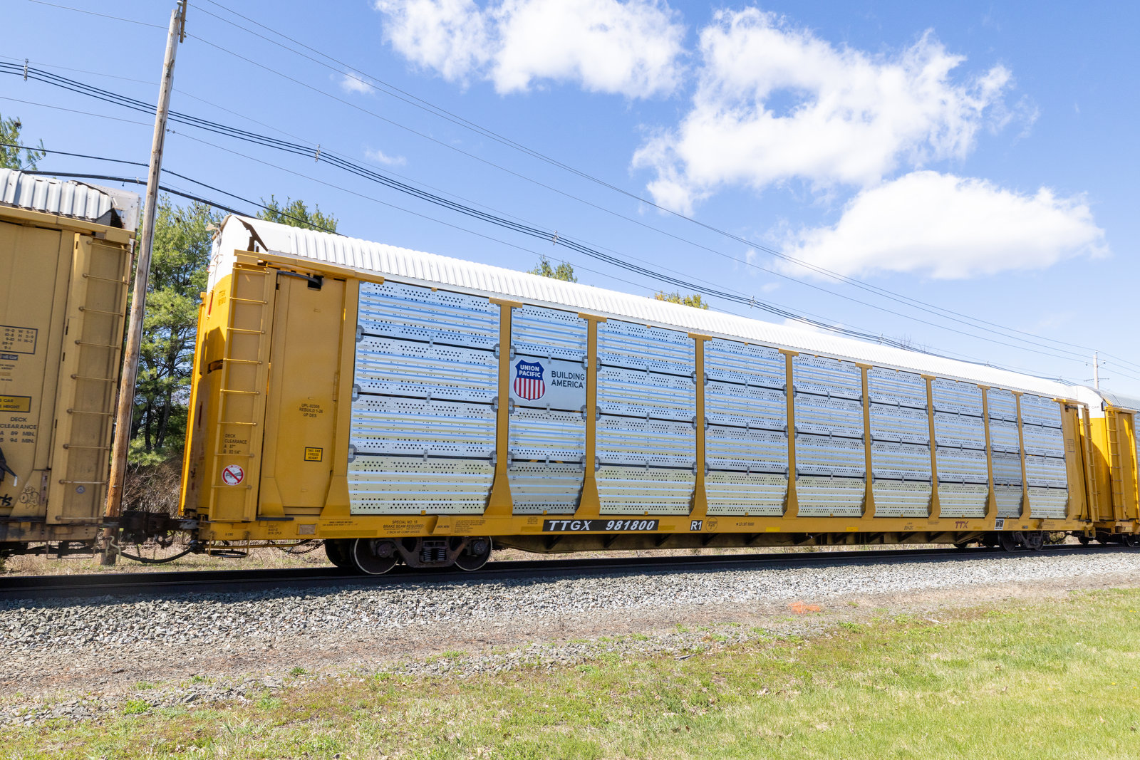 TTGX 981800