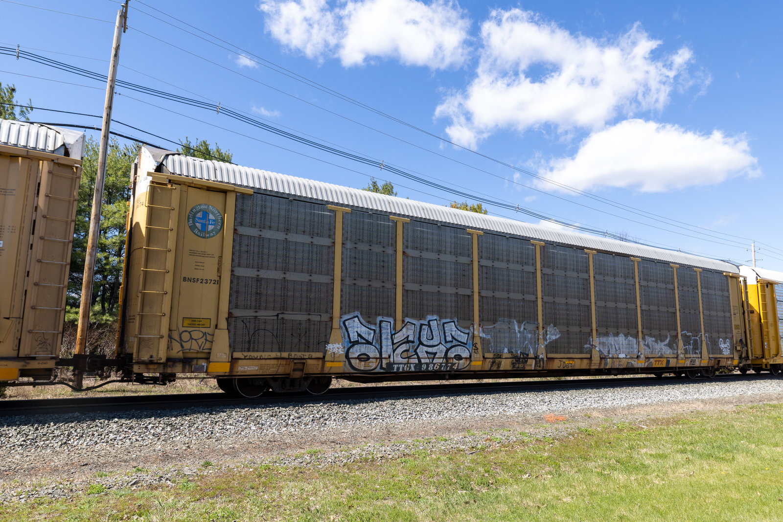 TTGX 986774