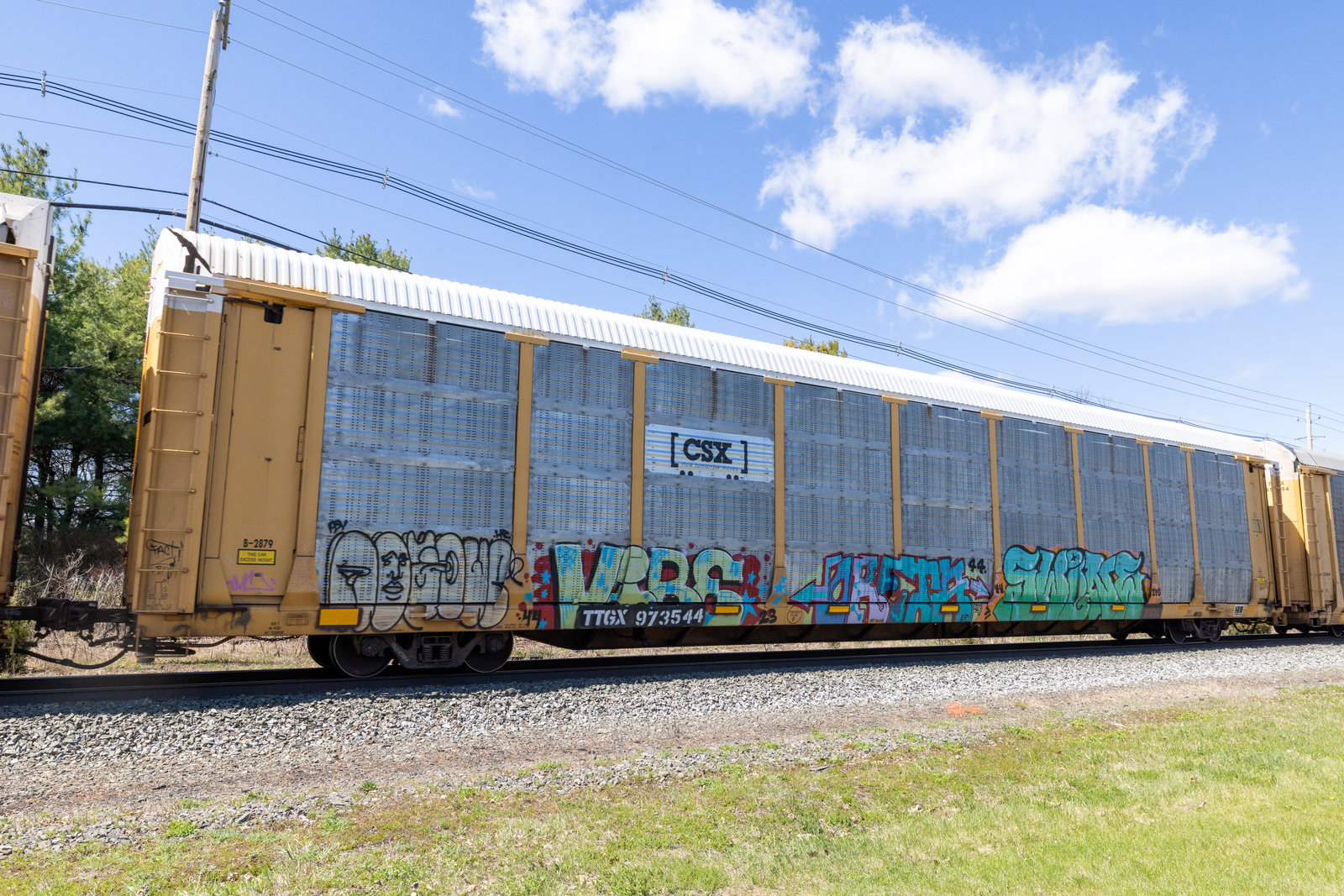 TTGX 973544