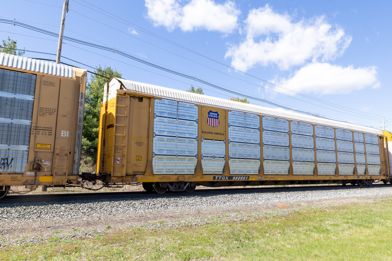 TTGX 980861