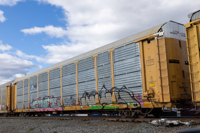 TTGX 965528