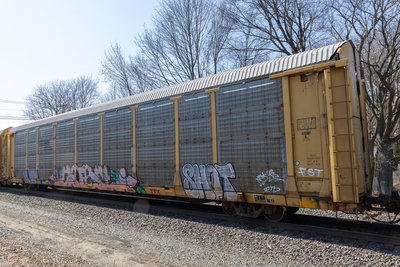 TTGX 982776