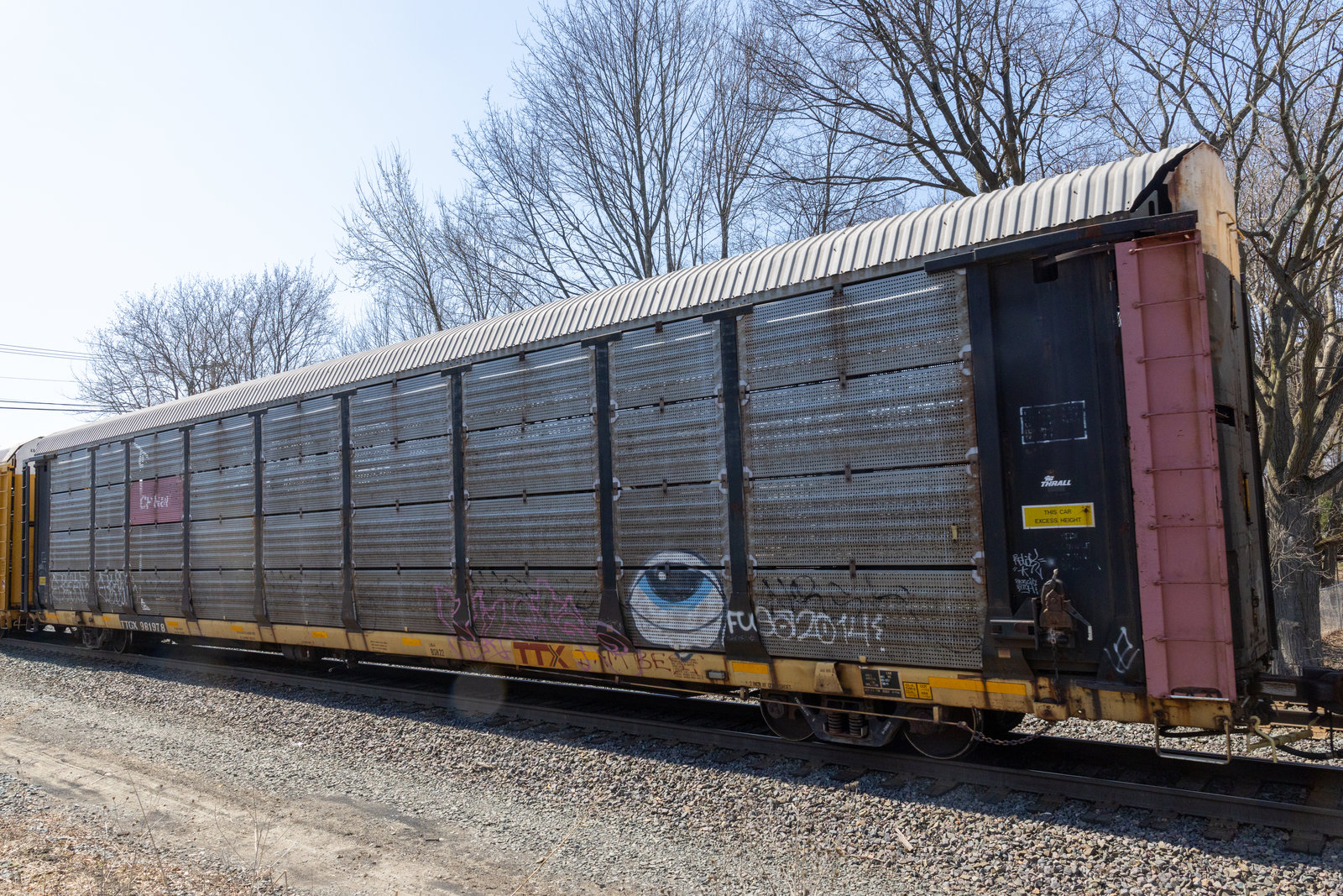 TTGX 981978