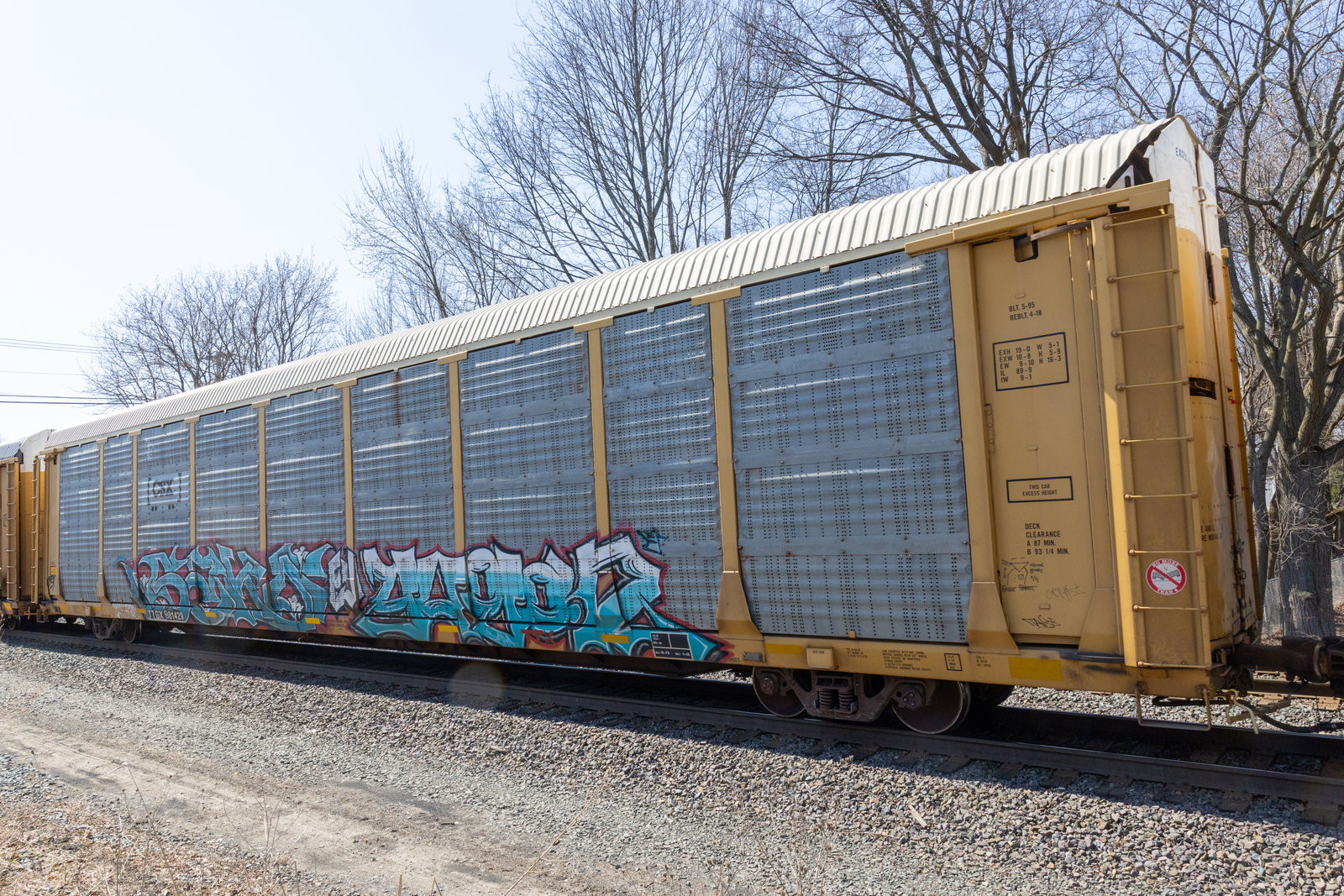 TTGX 981429