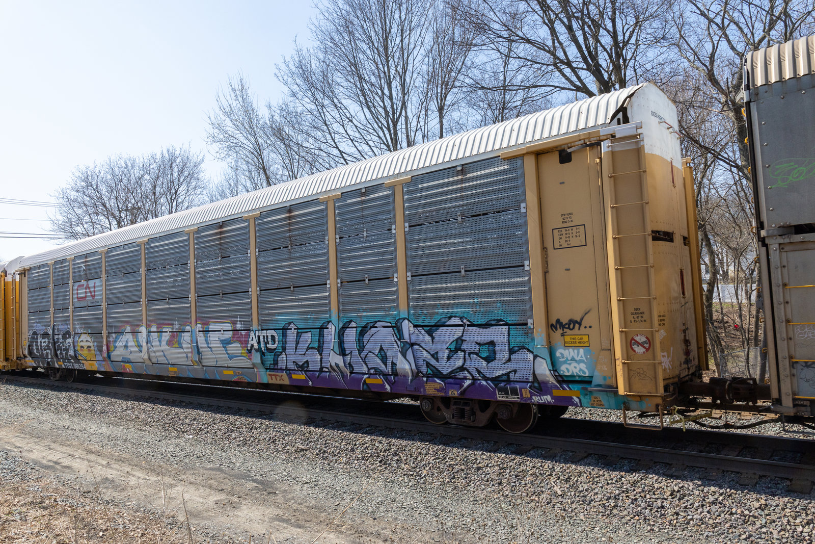 TTGX 981264