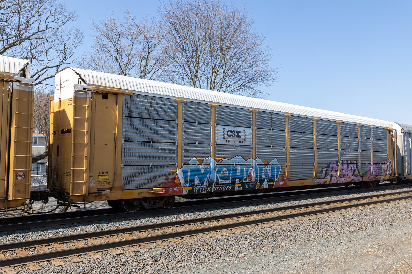 TTGX 973675