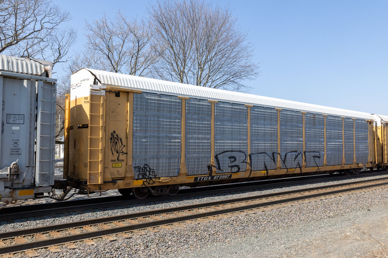 TTGX 973967
