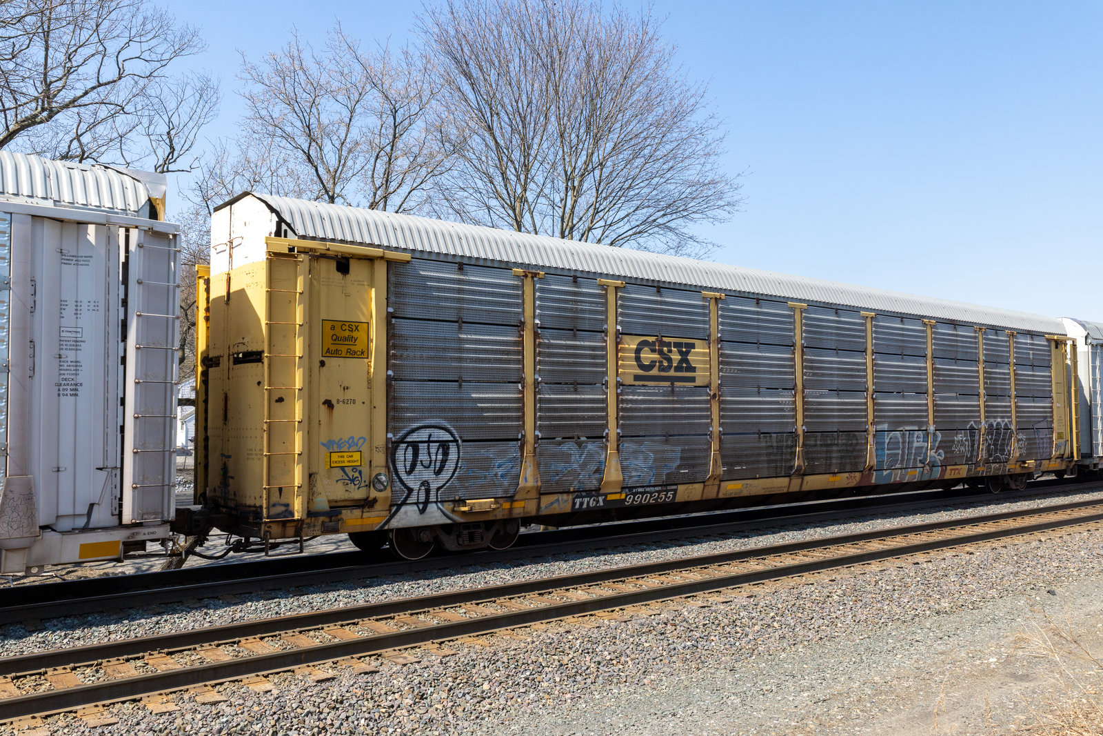 TTGX 990255
