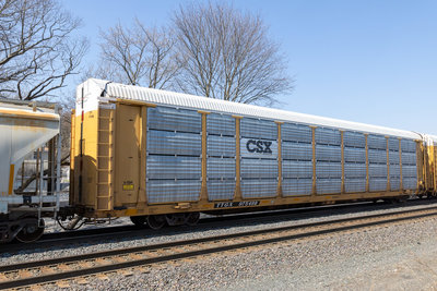 TTGX 975498