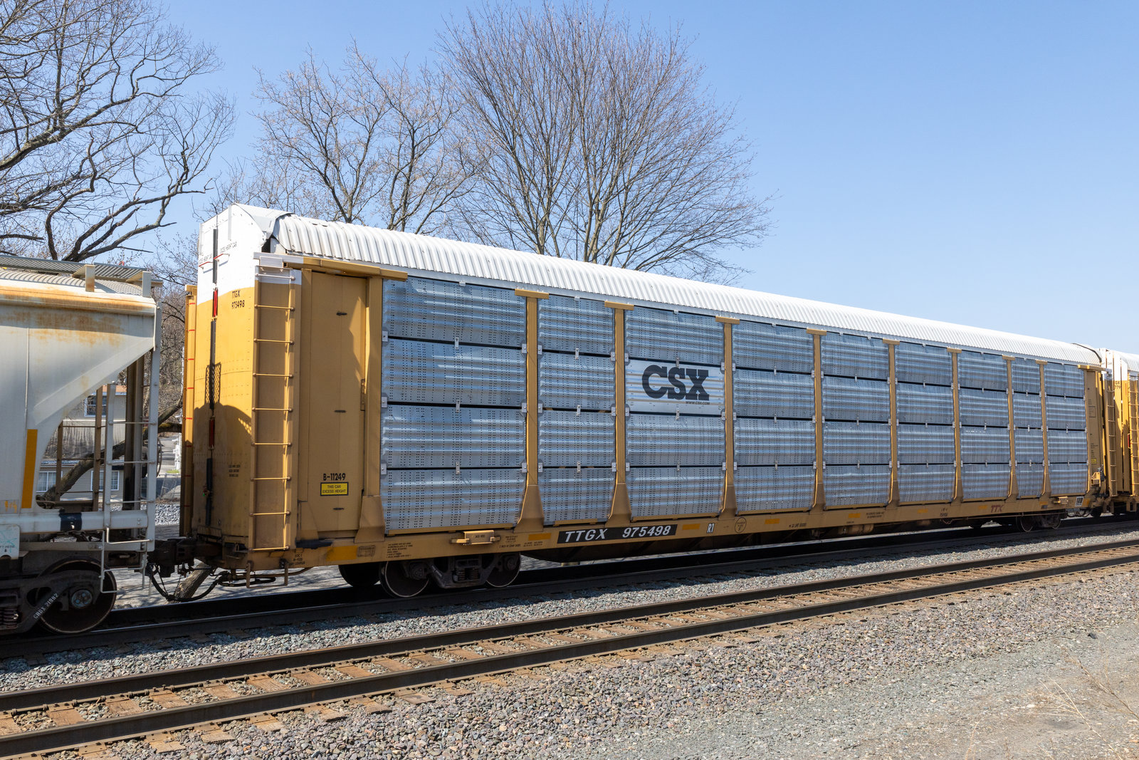 TTGX 975498
